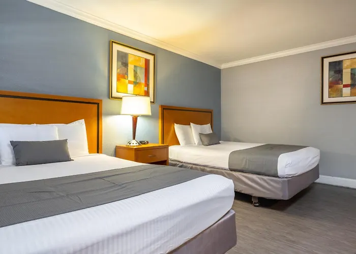 Soma Park Inn